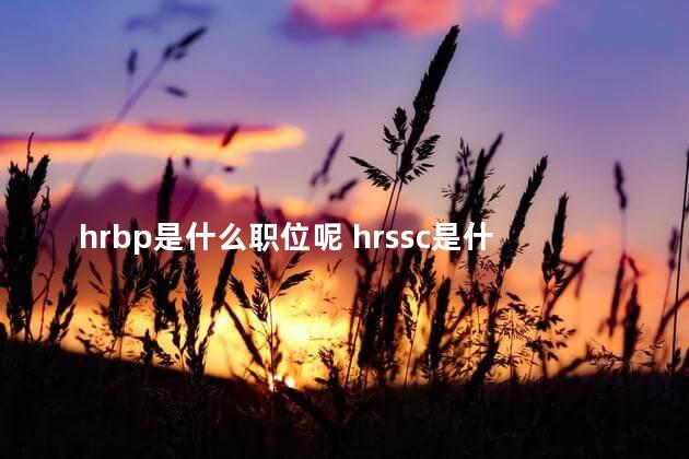 hrbp是什么职位呢 hrssc是什么职位